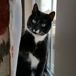 Meet your Posher, Kimberly